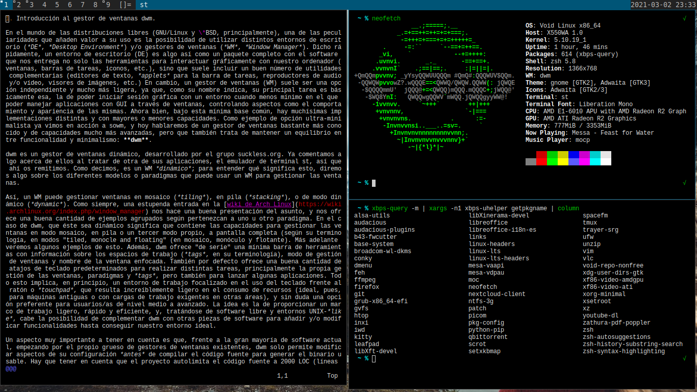 dwm - Void Linux - st Simple Terminal - vim - Neofetch - xbps